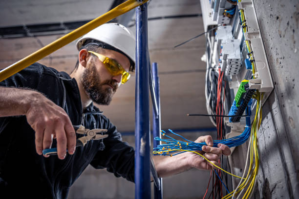 Best Affordable Electrician  in Gorevle, IL