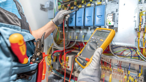 Best Electrician for Home Renovation  in Gorevle, IL